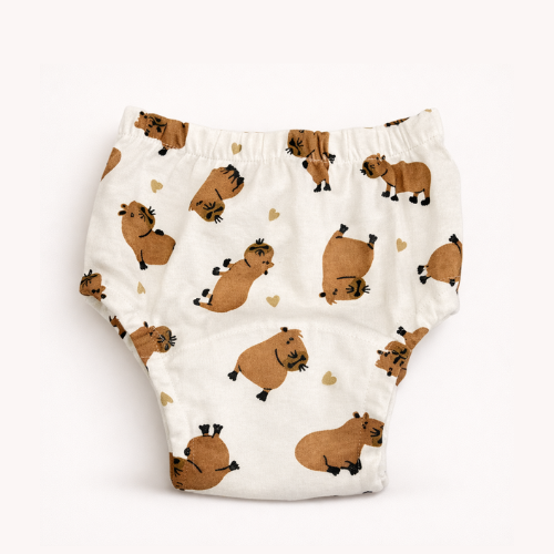 Fralda Reutilizável - 1 Unidade